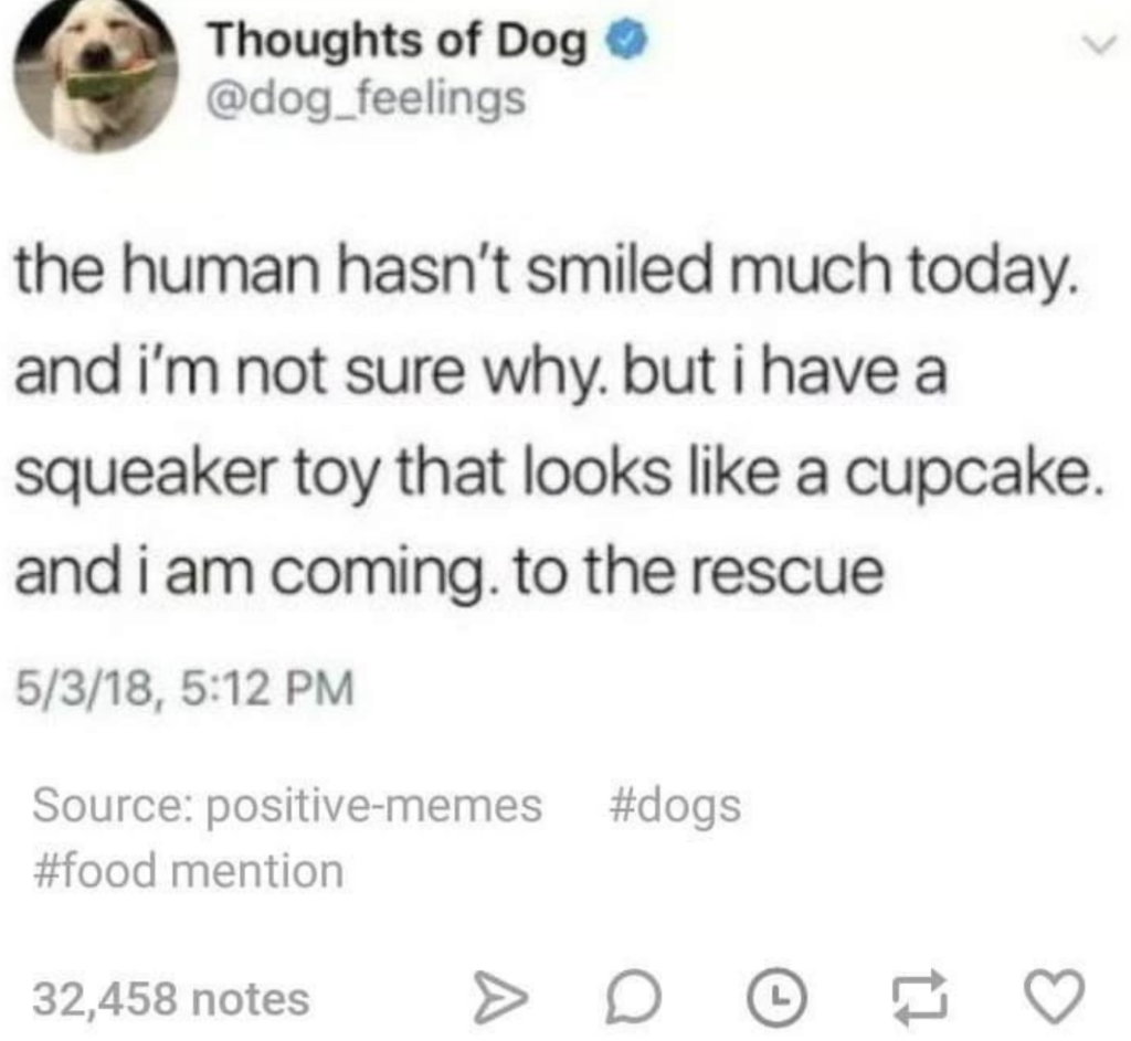 Cute Tweet about how dogs bring owners toys to cheer them up. 