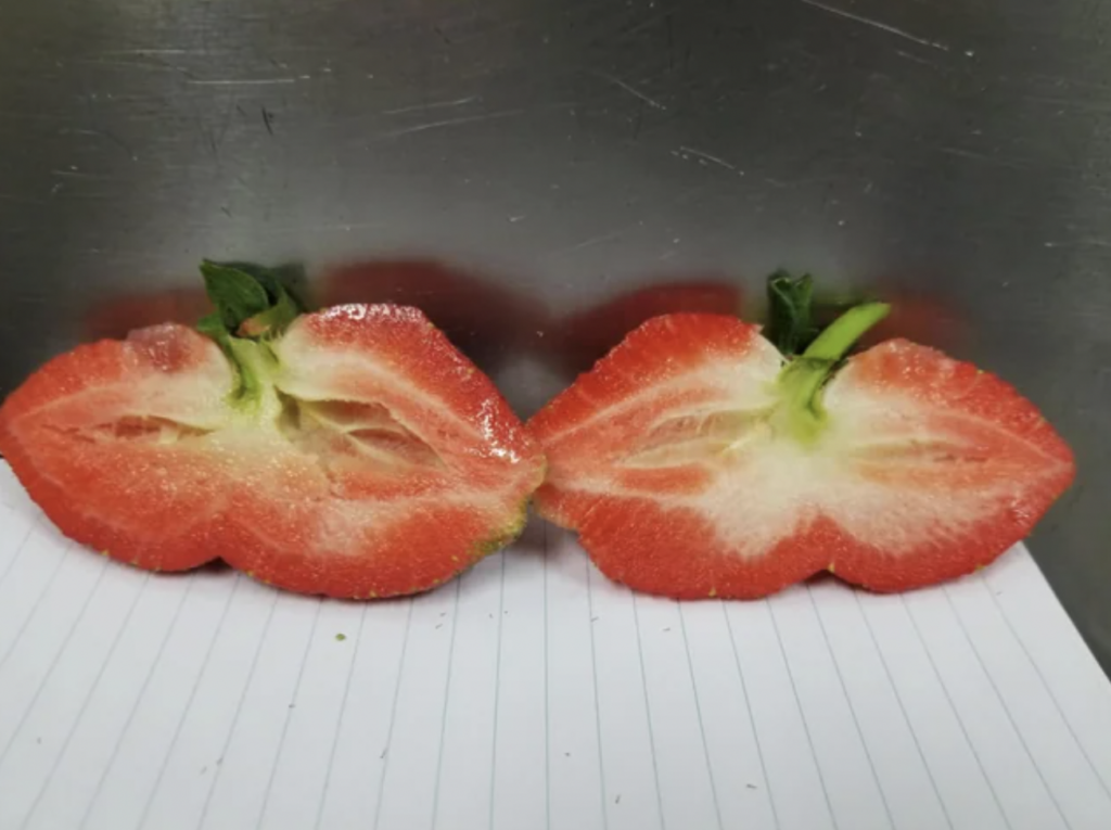 A conjoined strawberry. 