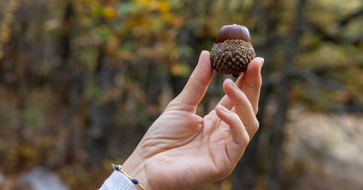 An image of a person holding up a rock.