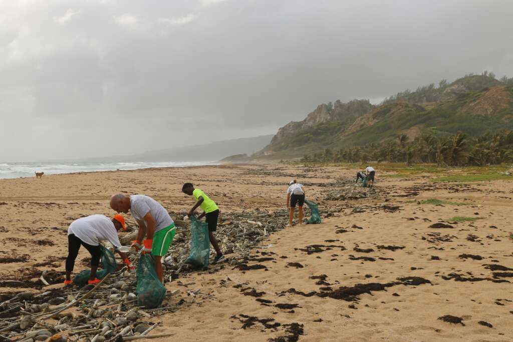 An image of people volunteering on a beach. 