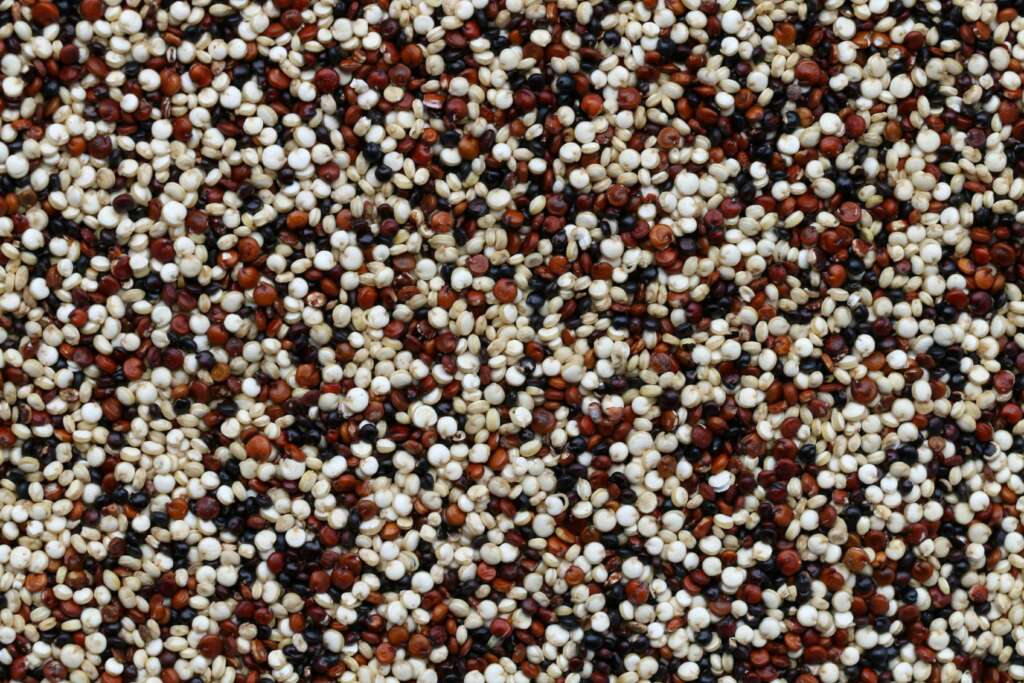 A close-up image of quinoa. 