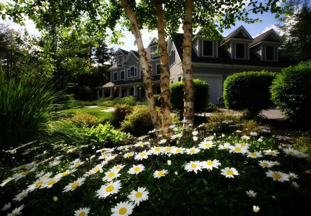 A big and beautiful home with a nice sunlit garden. 