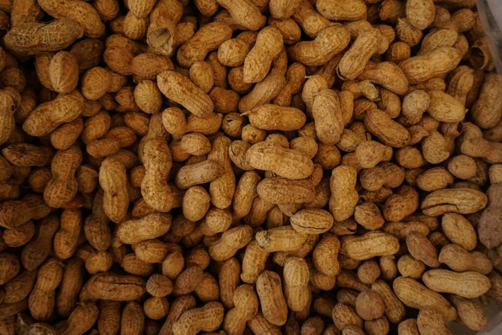 A close-up image of peanuts. 