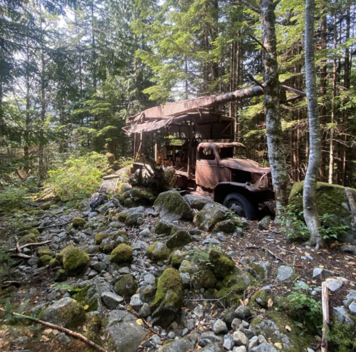 An old, rusty truck is abandoned in a forest clearing with lush green trees and moss-covered rocks. The truck is overgrown with vegetation, blending into the natural surroundings. Sunlight filters through the trees, illuminating parts of the truck and forest floor.