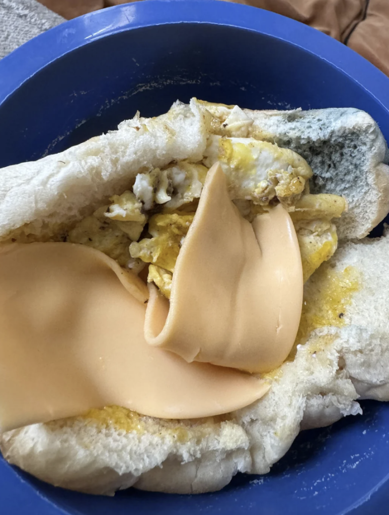 An image of a gross and failed fried egg sandwich. 