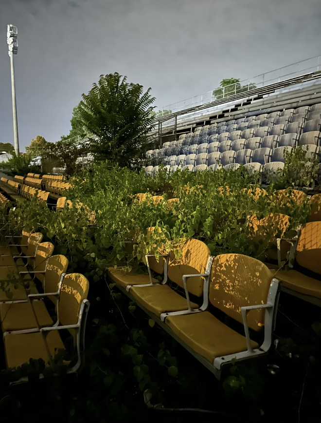 An abandoned outdoor stadium with rows of yellow and gray seats overgrown by numerous green plants and small trees.