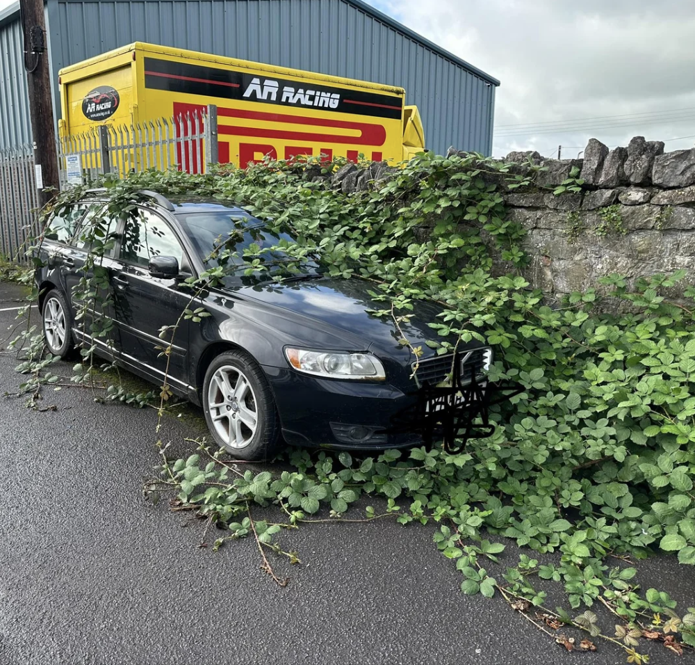 A parked car is covered in overgrown vines, especially along the front and side. The vehicle is next to a stone wall, with a yellow and red AR Racing trailer in the background. The pavement is wet, suggesting recent rain, and the sky is cloudy.