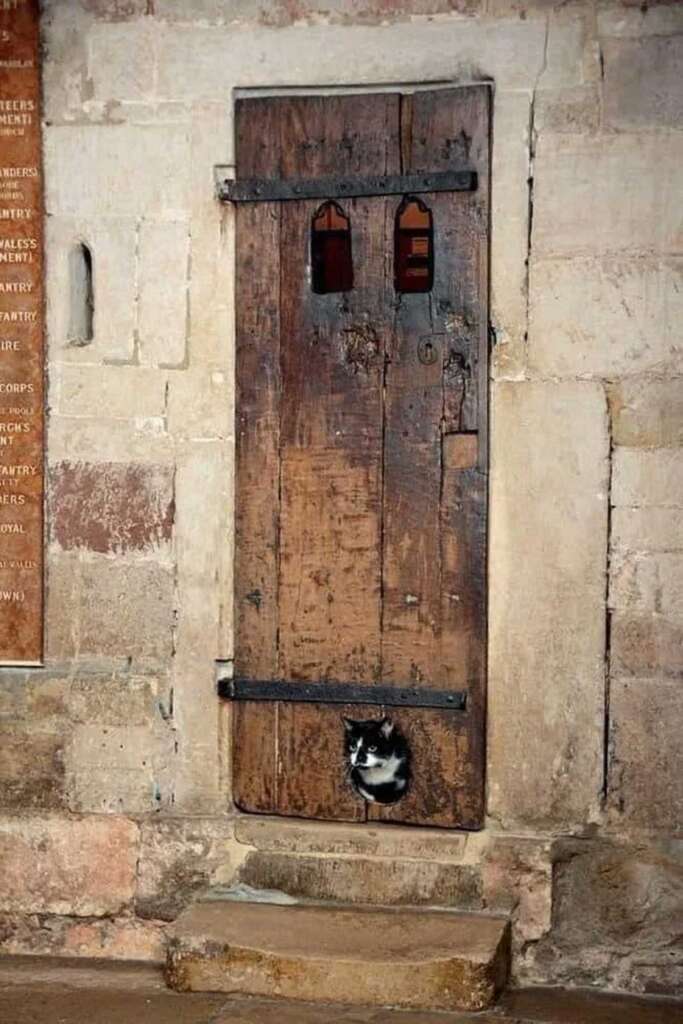 Very old wooden door on a church with cat sticking it's head through a small hole