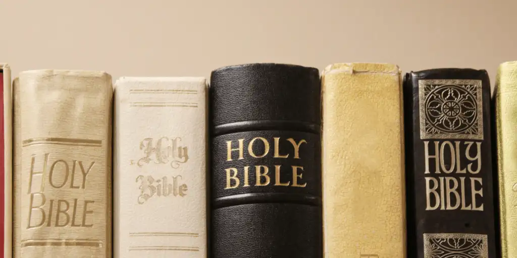A close-up of a row of Holy Bible books on a shelf, each with distinctive covers and different fonts for the title. The colors include white, black, and various shades of beige. The background is a plain light brown wall.