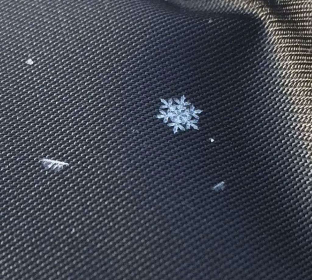 A perfect looking close-up image of a snowflake. 