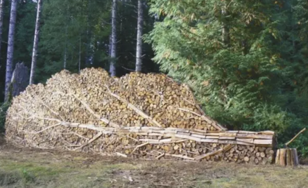 Firewood that's been stacked to look like a fallen tree.