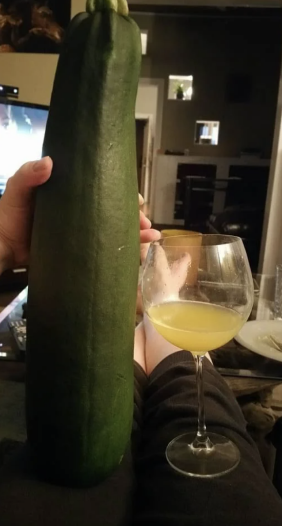 An image of a gigantic zucchini. 