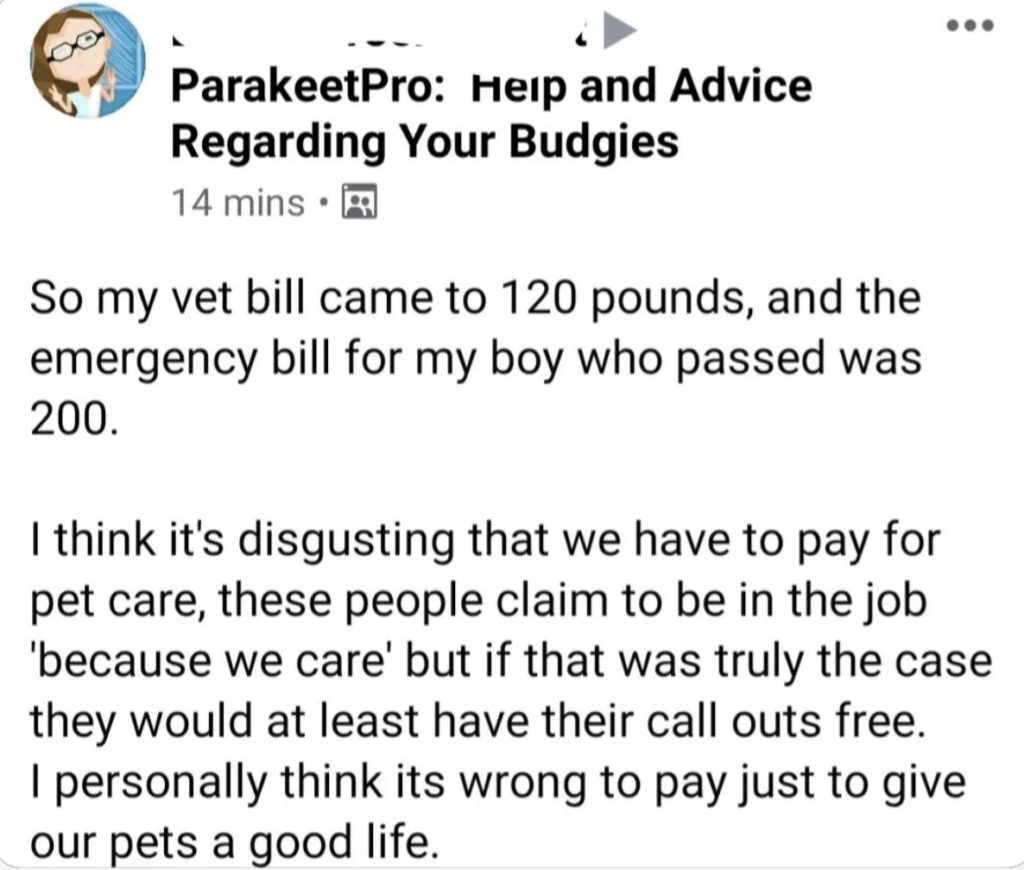A Facebook post in a group called "ParakeetPro: Help and Advice Regarding Your Budgies" expresses frustration about high vet bills. The user spent 120 pounds on a vet bill and 200 pounds on an emergency bill for a deceased pet, criticizing the cost of pet care.
