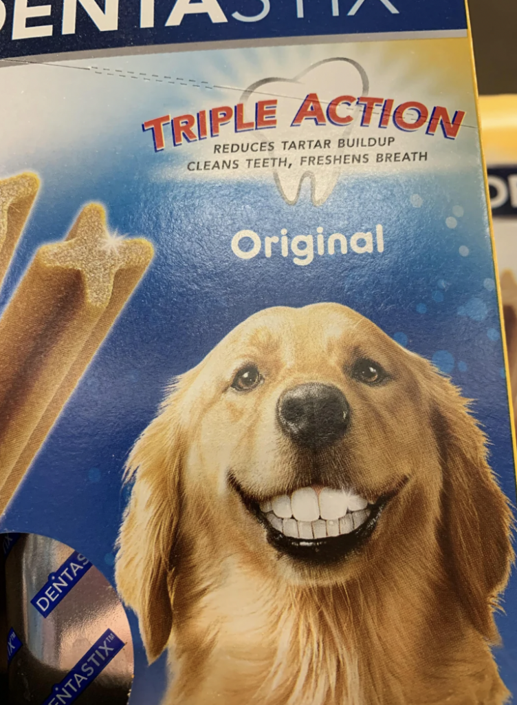 An image of a dog that's been photoshopped to have human teeth.