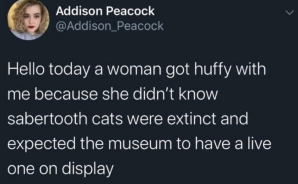 A Twitter user talks about a woman who thought sabertooth cats were alive. 