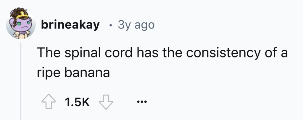 A comment on a white background states, "The spinal cord has the consistency of a ripe banana," posted by user "brineakay" three years ago. The comment has 1.5K upvotes and one downvote. The user's avatar features a cartoon character with a purple face and wearing a headband.