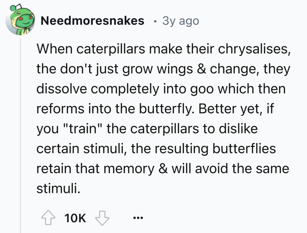 A Reddit post by user "Needmoresnakes" describes how caterpillars dissolve into goo within their chrysalises before reforming into butterflies. It also mentions that trained caterpillars to avoid certain stimuli will result in butterflies with the same aversions.