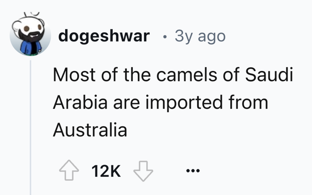 A Reddit comment by user "dogeshwar" from 3 years ago reads, "Most of the camels of Saudi Arabia are imported from Australia." The comment has 12K upvotes and a downvote symbol next to it. An avatar of a white cartoon character with a black nose is visible near the username.