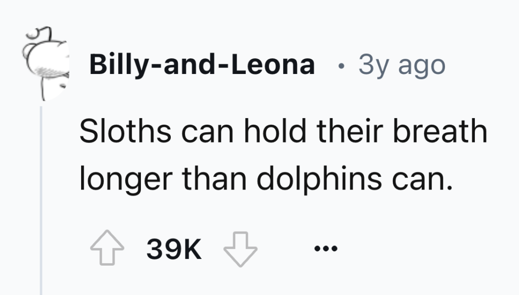 A Reddit post by "Billy-and-Leona" from 3 years ago reads: "Sloths can hold their breath longer than dolphins can." The post has 39K upvotes.