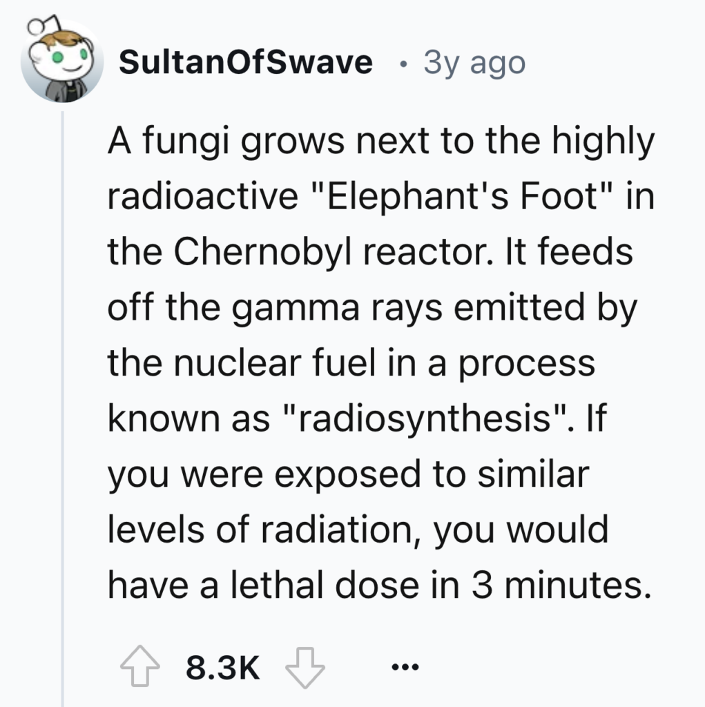 A Reddit post by user SultanOfSwave describes a fungi growing next to the radioactive "Elephant's Foot" in the Chernobyl reactor. The fungi feeds off gamma rays in a process called "radiosynthesis". It notes exposure to this radiation level would be lethal in 3 minutes.