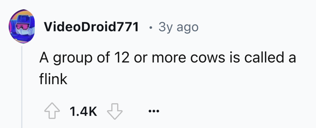Screenshot of a Reddit post by user VideoDroid771 from three years ago. The post reads, "A group of 12 or more cows is called a flink." It has 1.4K upvotes and a downvote button.