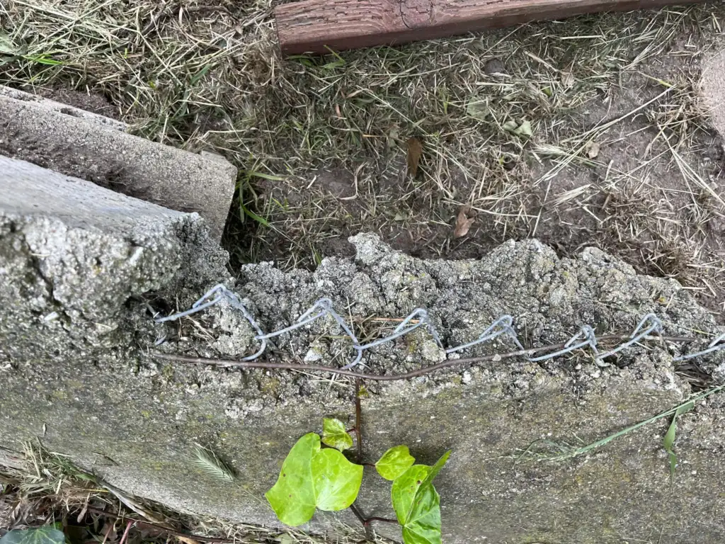 A section of a concrete wall topped with chain-link fencing appears broken and damaged. Pieces of concrete are crumbled, and remnants of wire are visible amidst the debris. In the foreground, green leaves of a plant are noticeable on the ground.
