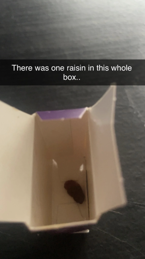 A small, open cardboard box contains a single raisin at the bottom. A caption at the top of the image reads, "There was one raisin in this whole box..