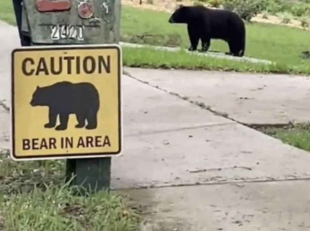 An image of a bear caution sign. 