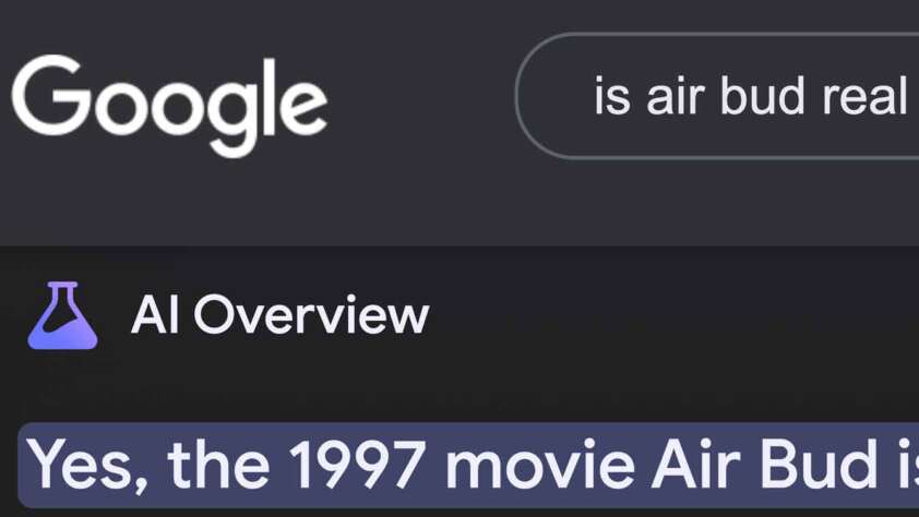 A Google search bar with the query "is air bud real" displays a response under "AI Overview" stating, "Yes, the 1997 movie Air Bud is.