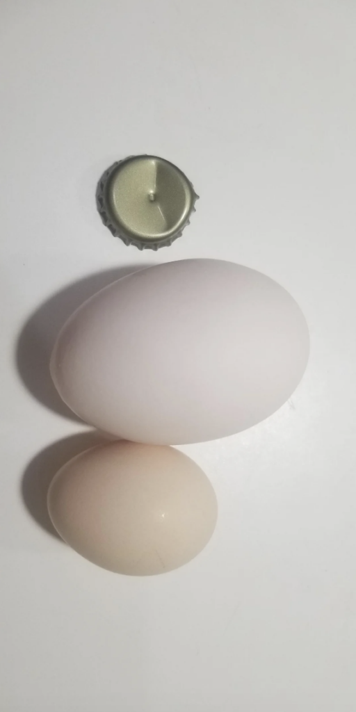 An image of a huge egg. 