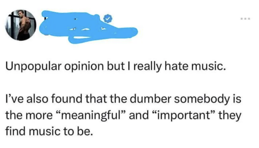 A screenshot of a tweet reads: "Unpopular opinion but I really hate music. I've also found that the dumber somebody is, the more 'meaningful' and 'important' they find music to be." The image includes a partially obscured profile picture in the upper left corner.