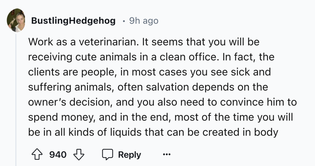 A social media post by BustlingHedgehog reads: "Work as a veterinarian. It seems that you will be receiving cute animals in a clean office. In fact, the clients are people, in most cases you see sick and suffering animals, often salvation depends on the owner’s decision, and you also need to convince him to spend money, and in the end, most of the time you will be in all kinds of liquids that can be created in body".  The post has 940 likes and a comment count is visible.