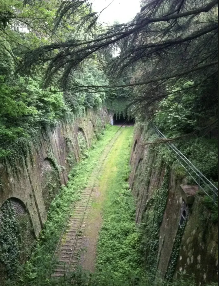 An overgrown, abandoned railway track leads into a dark tunnel, surrounded by moss-covered stone walls and dense greenery. Tall trees and vines partially obscure the view, creating a sense of mystery and nature reclaiming the area.