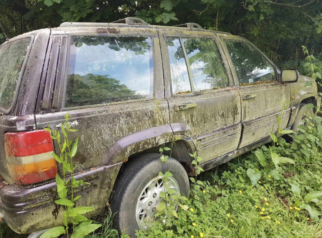 An old, abandoned SUV covered in dirt and moss is parked in a field overgrown with vegetation. The vehicle's windows are cloudy, and there is visible rust and mildew on its body. It is surrounded by tall grass, weeds, and bushes.