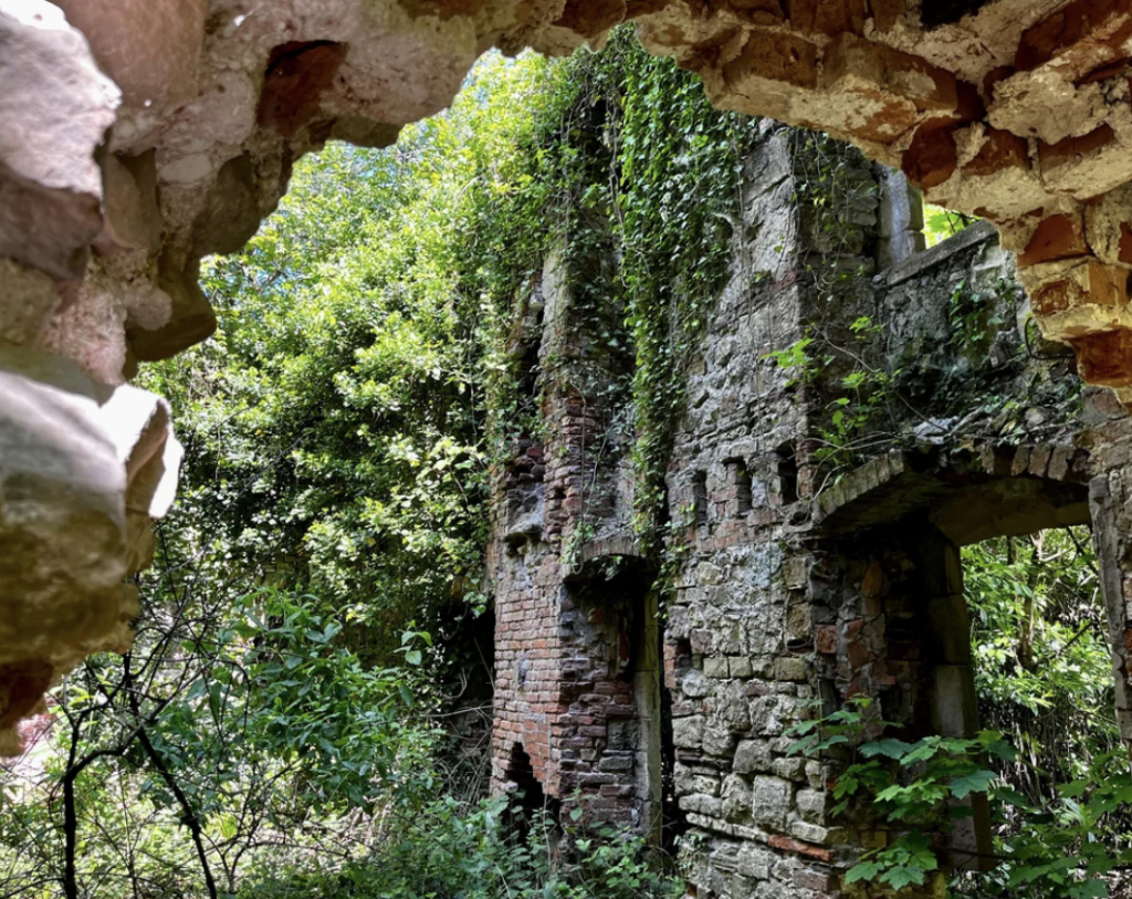 A view through a stone archway reveals the overgrown ruins of a stone building, with ivy and greenery covering the walls. The structure is partially collapsed, and nature has begun to reclaim the site, with dense foliage surrounding the area.