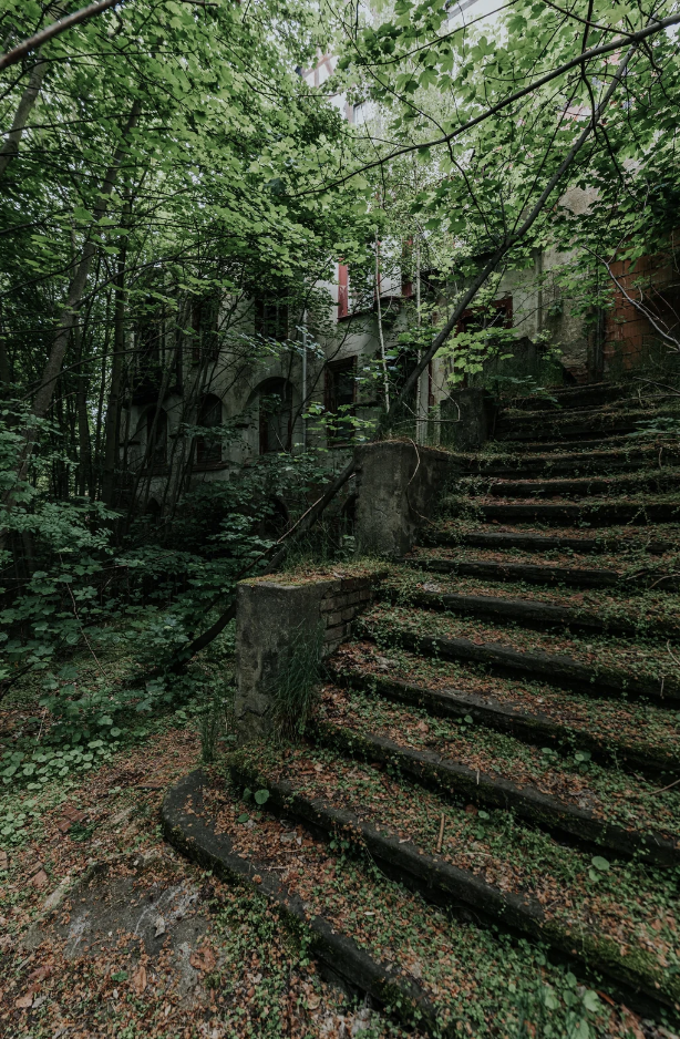 An overgrown concrete staircase leads to an abandoned building partially hidden by dense trees and foliage. The stairs are covered in moss and leaves, evoking a sense of decay and nature reclaiming the space. The building is worn with visible broken windows.