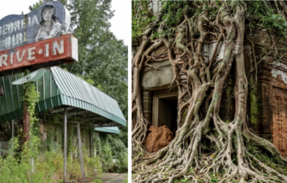 The image is split into two. The left side shows an abandoned, overgrown drive-in theater with a rusted sign reading "Midway Drive-In." The right side features an ancient building enveloped by large, twisting tree roots, creating a surreal blend of nature and architecture.