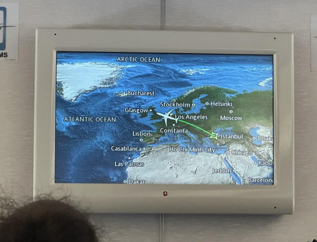 An airplane map that is showing all the glitches. 