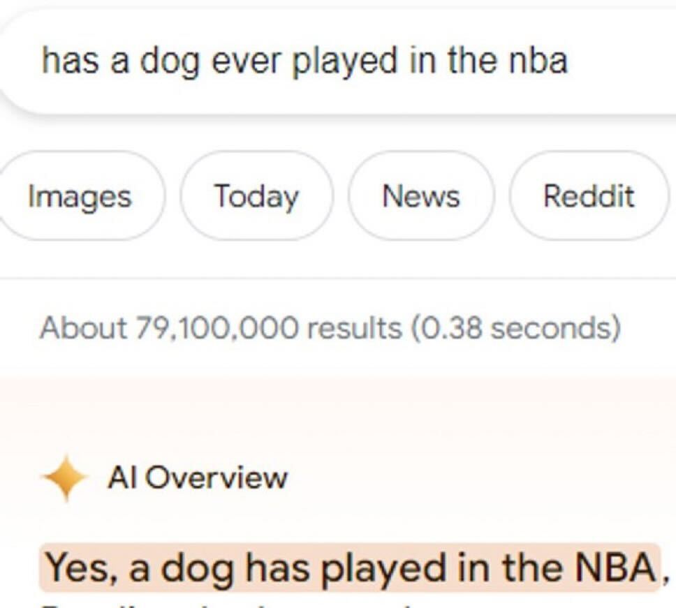 A screenshot of a Google search query asking "has a dog ever played in the nba" with a result stating "Yes, a dog has played in the NBA." The page shows around 79,100,000 search results and other category tabs like Images, Today, News, and Reddit.