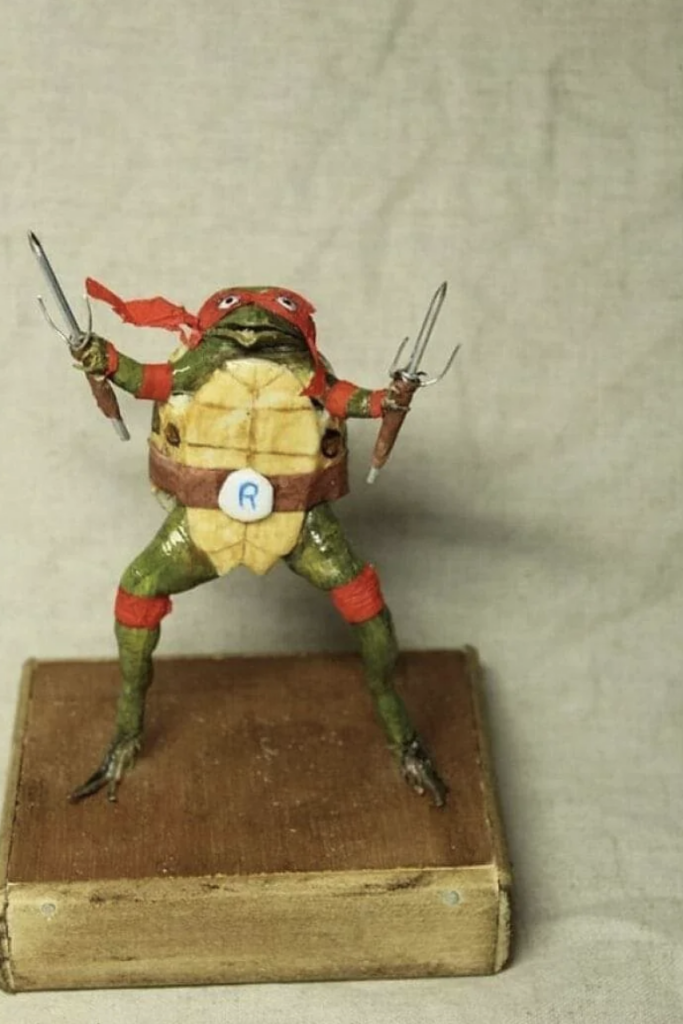 An image of a weird looking Teenage Mutant Ninja Turtle. 