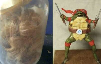 An image of a jar of hair placed next to an image of a turtle collectible.