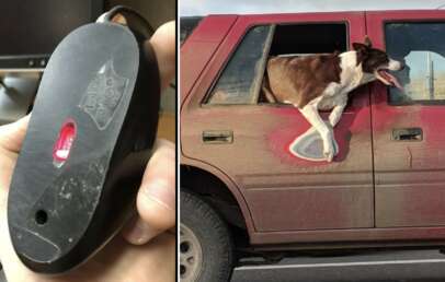 The image is split into two: the left shows a hand holding an upside-down computer mouse with a visible LED light, and the right shows a dog half escaping through a car window, creating the illusion that the mouse's light is controlling the dog.