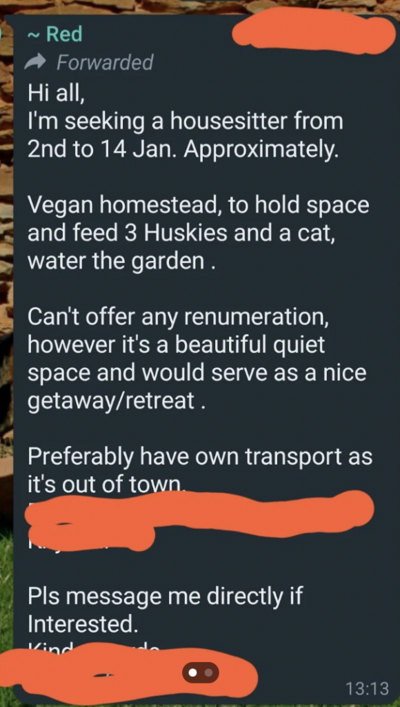 A screenshot of a message from a person seeking a housesitter for their vegan homestead from 2nd to 14th January. Responsibilities include feeding 3 huskies and a cat and watering the garden. No payment is offered, own transport preferred due to remote location.