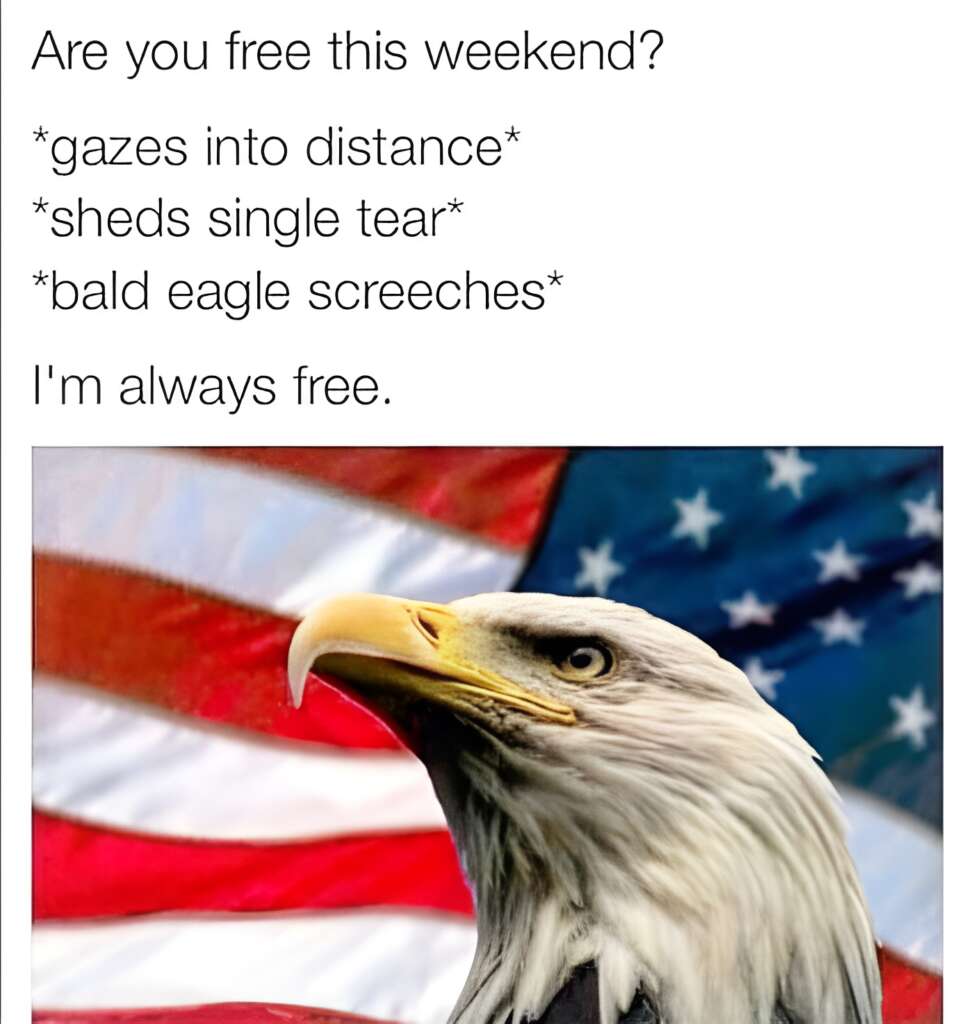 A detailed close-up of a bald eagle with the American flag in the background. Text above reads: "Are you free this weekend? *gazes into distance* *sheds single tear* *bald eagle screeches* I'm always free.