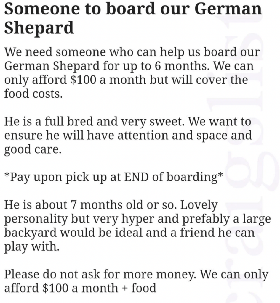 A text advertisement seeking assistance to board a German Shepherd for up to 6 months. The dog is 7 months old, very sweet but hyper, and needs space and a playmate. They offer $100 a month, plus cover food costs, with payment upon pick up at the end of boarding.