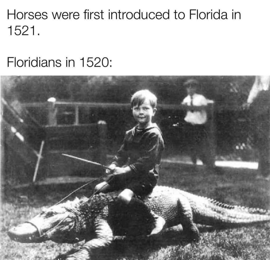 A black-and-white photo showing a young boy sitting on the back of a large alligator, holding a stick like a sword. The text above the image reads, "Horses were first introduced to Florida in 1521. Floridians in 1520." Another person stands in the background.