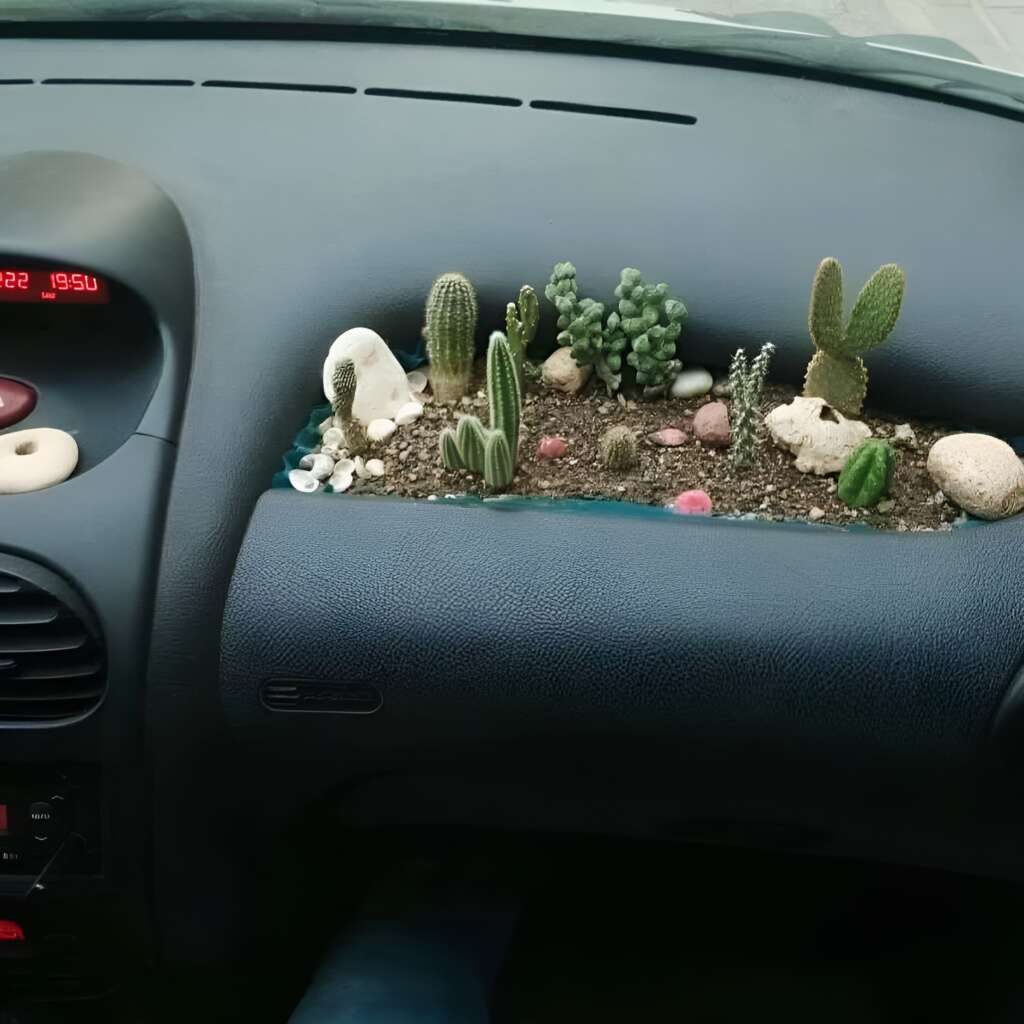 A car's dashboard is transformed into a miniature garden, featuring a collection of small cacti, succulents, pebbles, and shells nestled in soil. The digital clock on the car's display shows the time as 19:54.