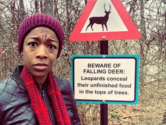 A person wearing a red beanie and scarf stands in front of a humorous warning sign. The sign reads, "BEWARE OF FALLING DEER: Leopards conceal their unfinished food in the tops of trees." A deer silhouette is shown inside a triangular hazard symbol above the text.