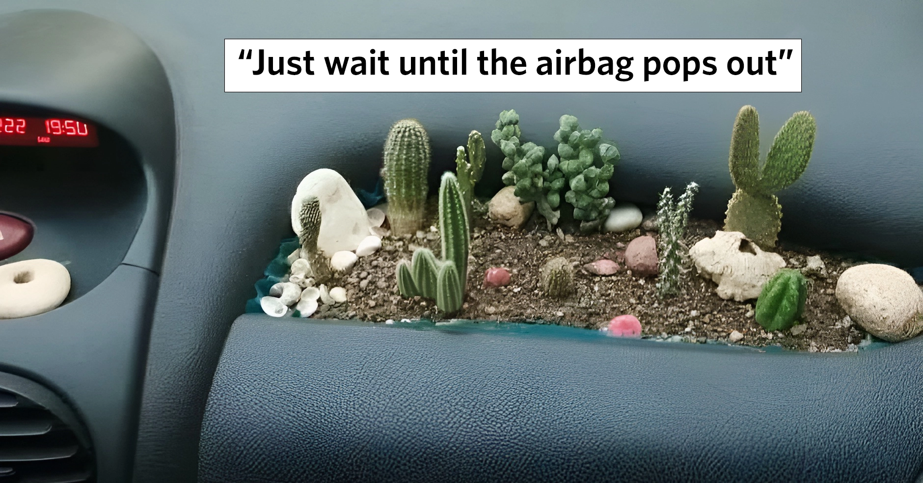 A dashboard of a car is converted into a mini desert garden with various small cacti and succulents planted in the space where an airbag typically would be. The caption above reads, "Just wait until the airbag pops out.