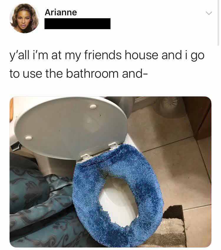 A tweet from a user named Arianne includes a photo taken in a bathroom. The toilet seat has a fuzzy blue cover with a large irregular hole in the center, exposing the toilet bowl. The tweet reads: "y’all i’m at my friends house and i go to use the bathroom and-